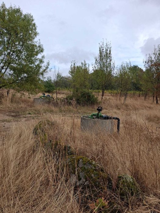 Terreno rustico com regadio do zêzêre para venda I Trigais