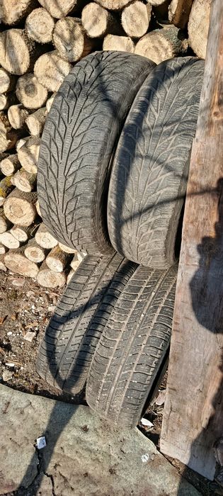 185 65 14 резина