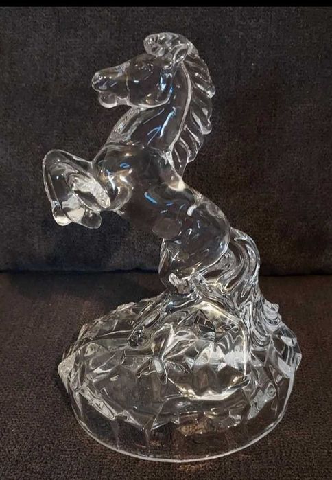 Crystal Rock cavalo