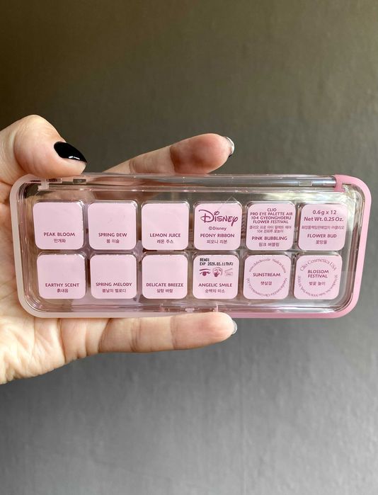 [Disney Edition] CLIO PRO Eye Palette Air