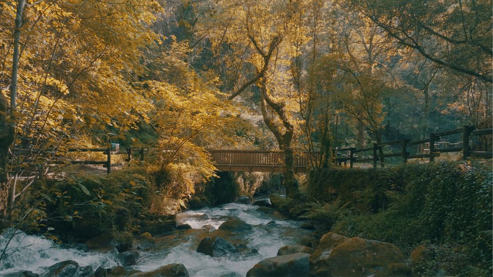 Videógrafo e Fotografo + Drone