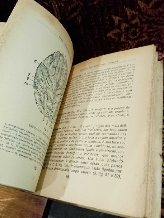 Noções de Anatomia Humana 1960 Raul D´Oliveira Feijão