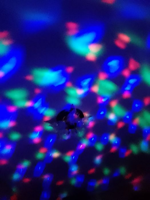 Лампа гирлянда крутиться смотрите на фото по всей комнате светит