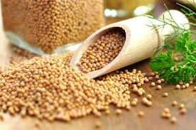 Olej musztardowy tłoczony na zimno