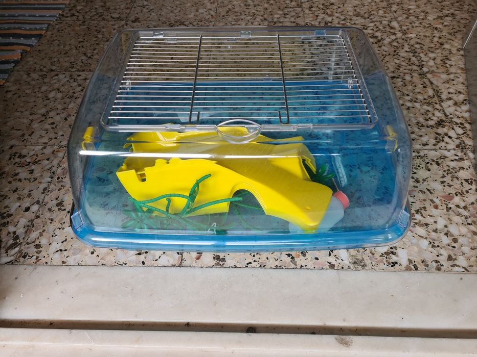 Tartarugueiras como novas