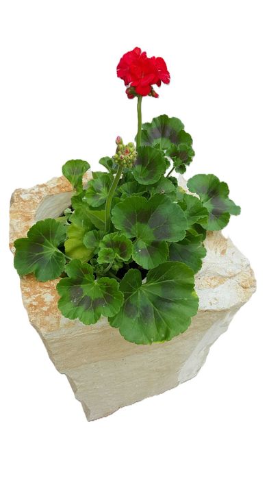 Donica z kamienia naturalnego, Piaskowiec