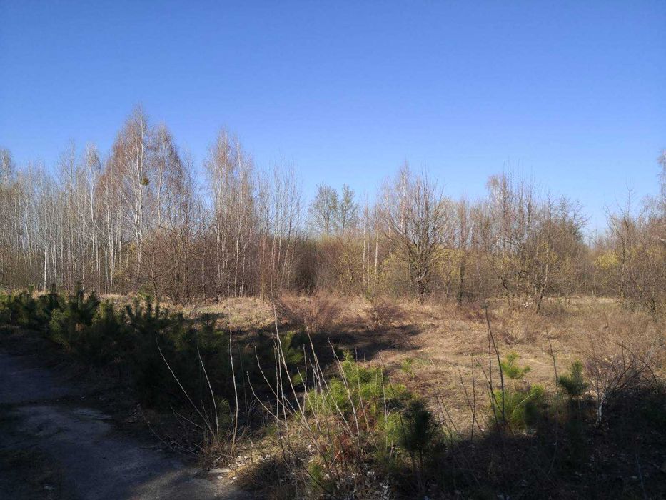 Ділянки біля озера у кооперативі Михайлівка-Рубежівка
