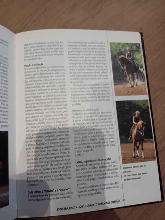 EQUITAÇÃO para principiantes - LITEXA