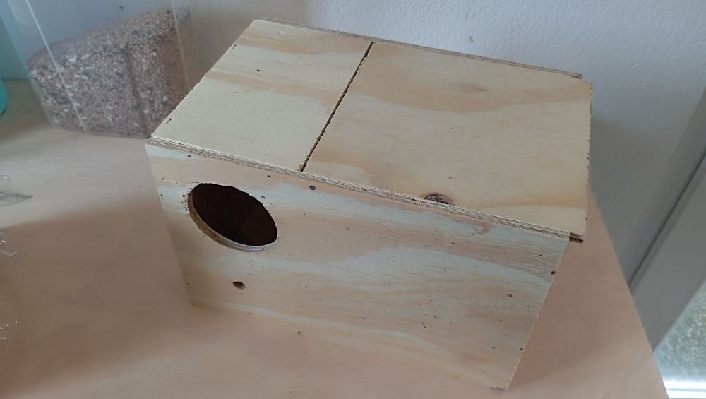 4 Ninhos Agapornis novos