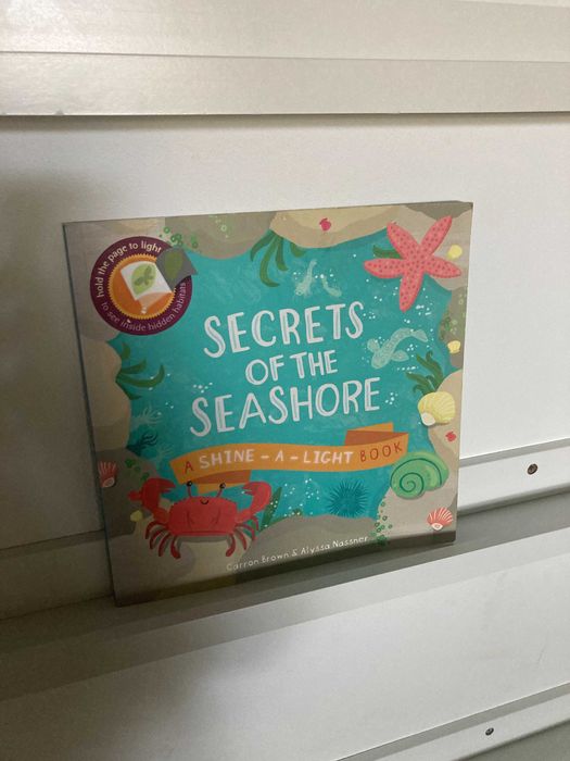 Secrets of the seashore
