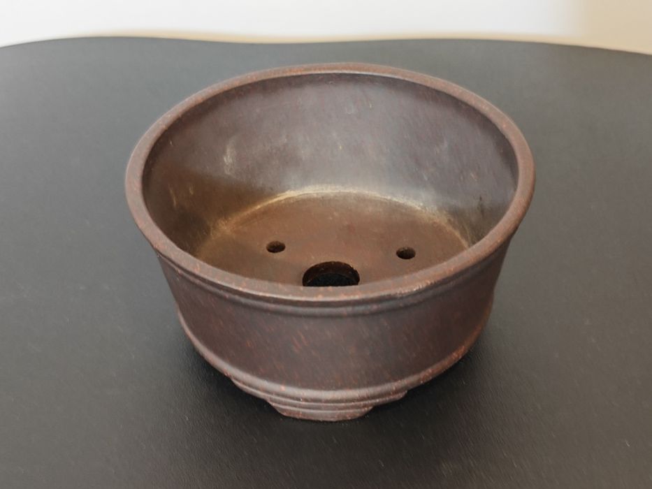 Vaso novo para bonsai