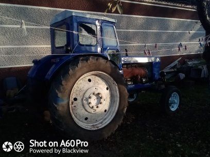 продам робочого коника