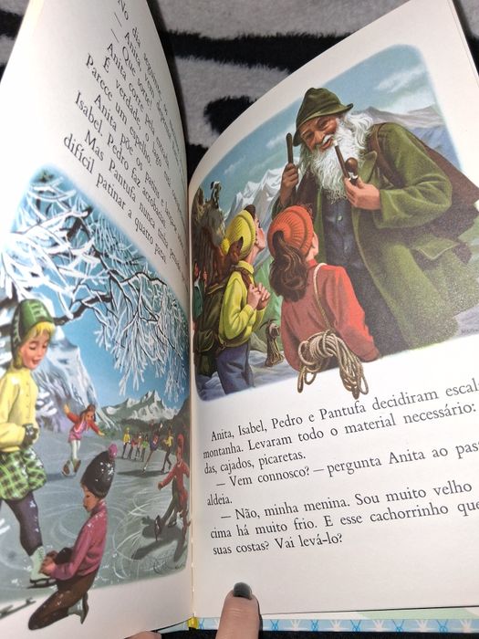 Livro Anita na Montanha