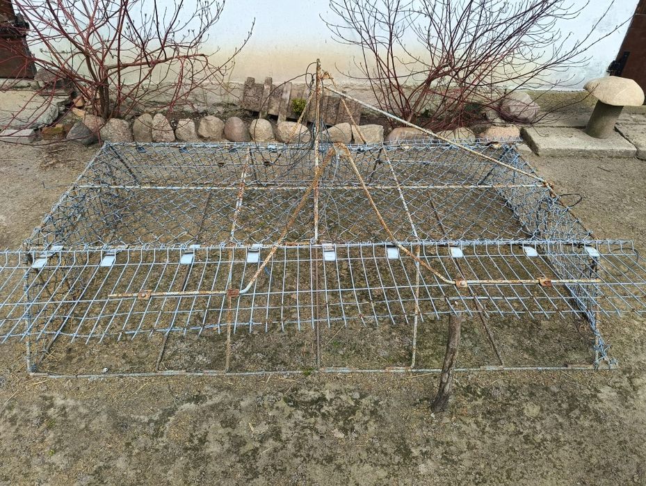 Klatka siatkowa dla golębi