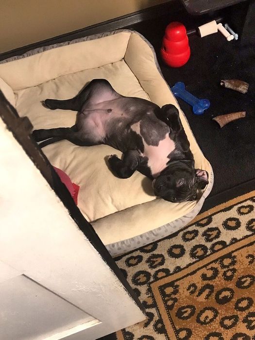 Терміново малята АСТ