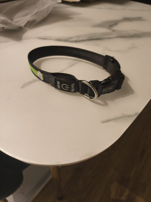 Obroża dla psa LED Fun Pets świecąca USB ładowalna - bezpieczeństwo no