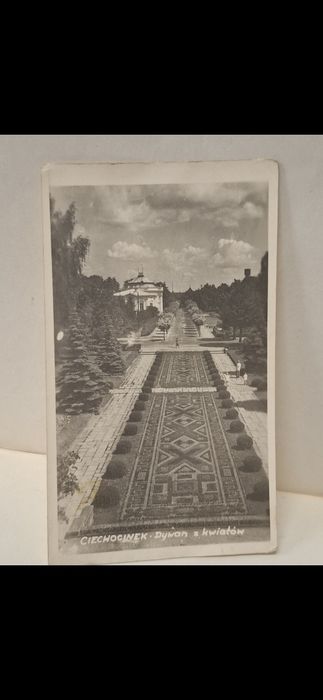 Ciechocinek dywan z kwiatów 1954r  pocztówka