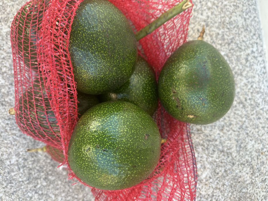 Abacates 2€/kilo