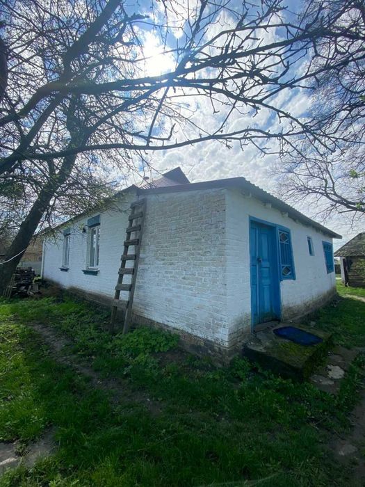 Нежитлові будівлі - с. Стрітівка, Київська обл.