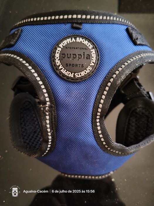 Peitoral azul para cães pequenos