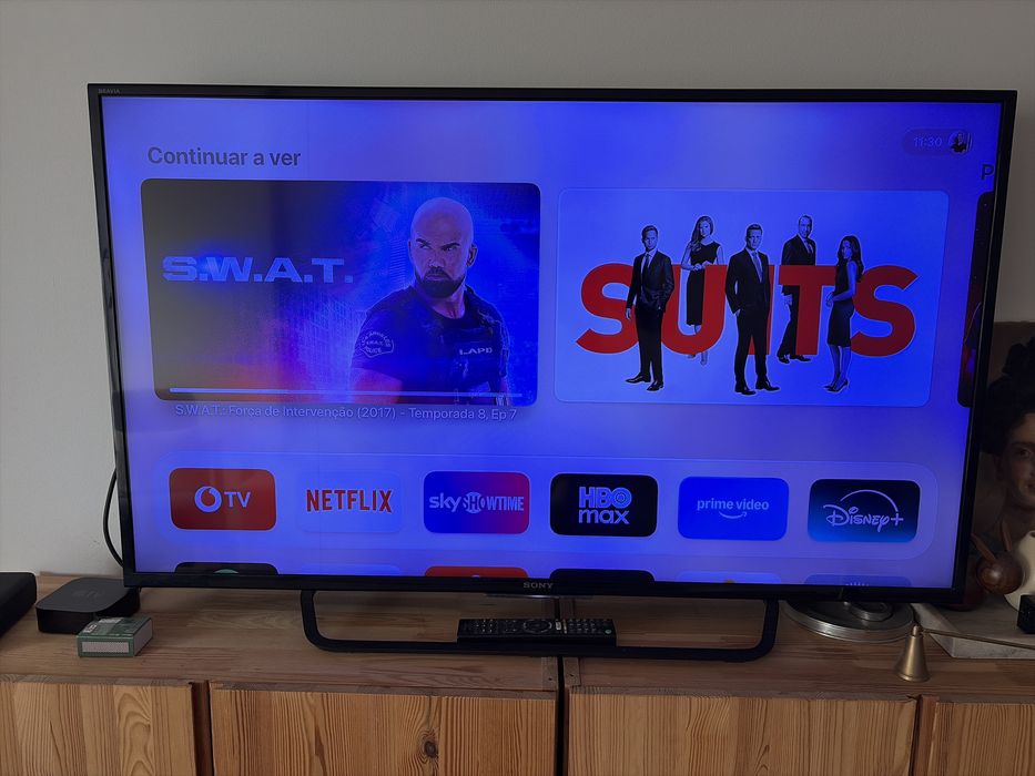 Sony 49” 4K – funcional com risco vertical no ecrã (ver fotos)