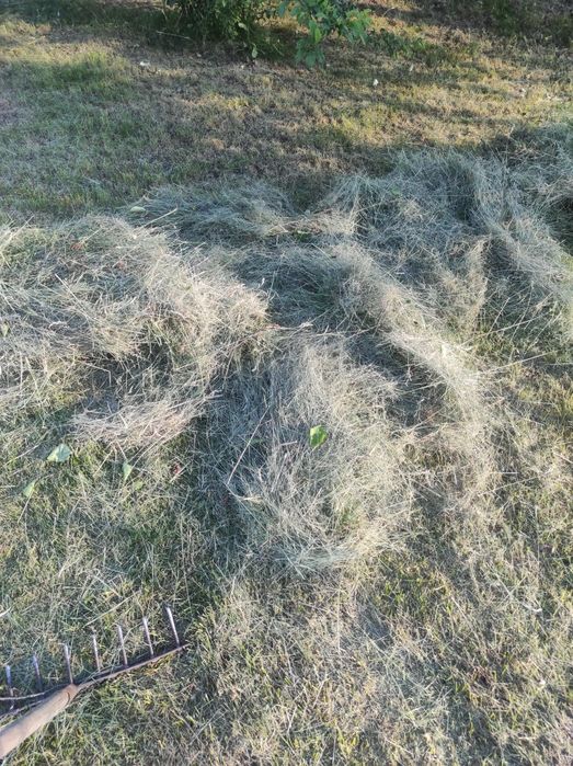 Сіно садове різнотрав'я
