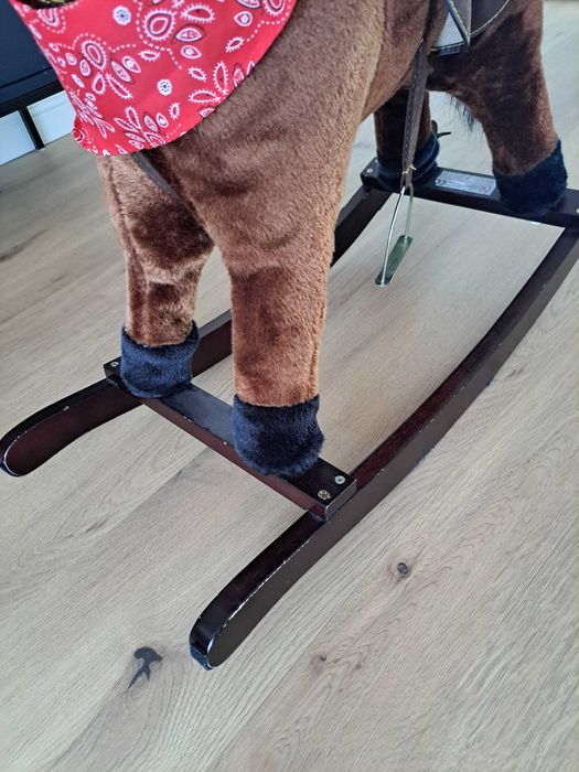 Konik na biegunach