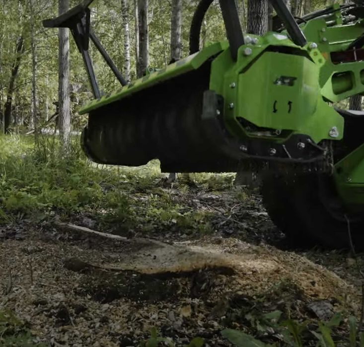 Wynajem MultiOne 8.5 mulczer leśny, likwidacja samosiejek-młode drzewa