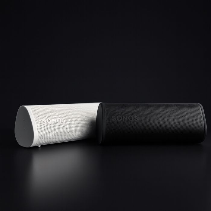 Sonos roam Колонки