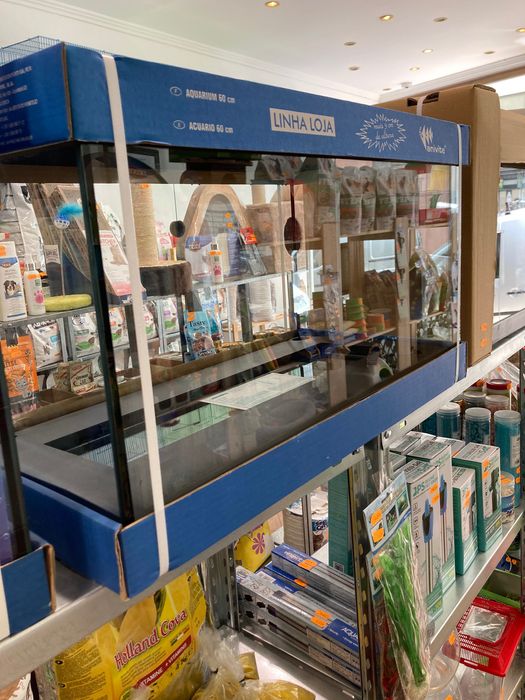 Aquário Grande ( Loja especializada )