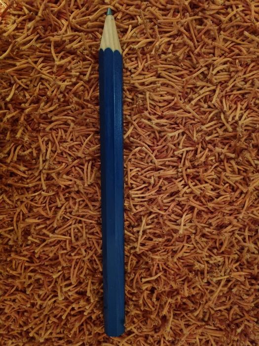 OFERTA PORTES - Lápis Grande Azul Decorativo (40cm)