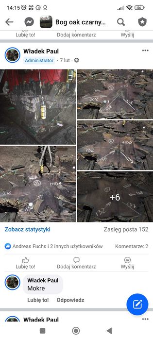 Czarny dąb monolit deska