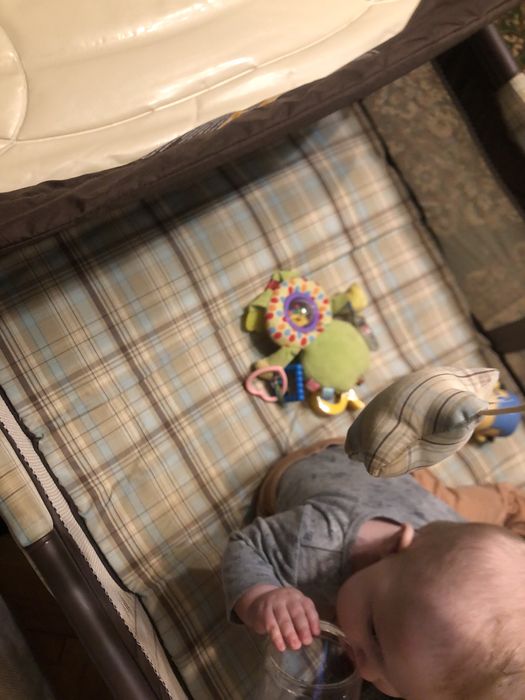 Манеж-ліжечко GRACO pack&play 3 в 1