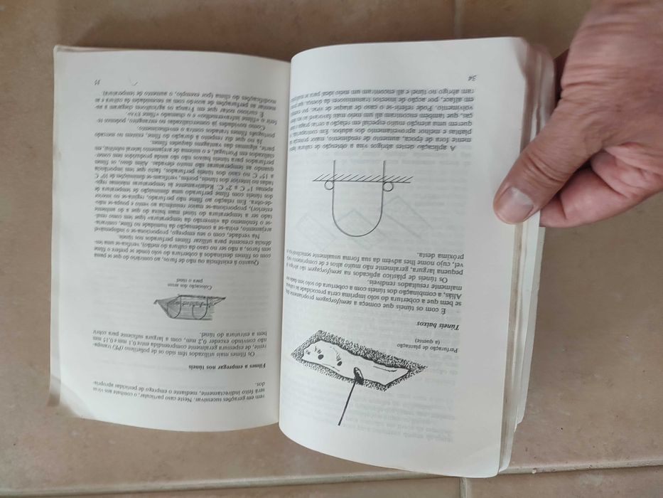 Horticultura e Floricultura - Sousa Veloso/Jorge Garrido/J. M. Bettencourt