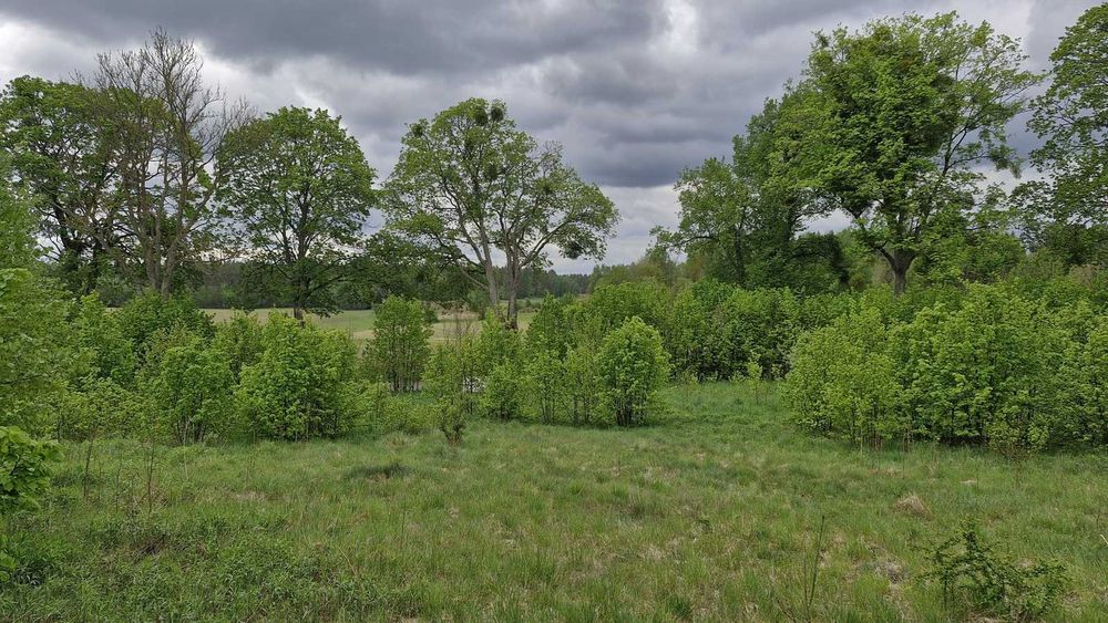 Działka 3026 m² Pupki – blisko lasu