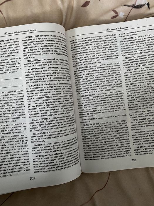 Большой Справочник Школьника