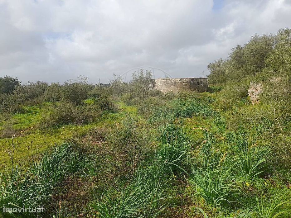 Terreno  para venda