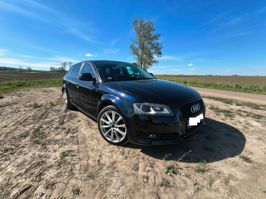 Audi A3 8P 2.0TDI