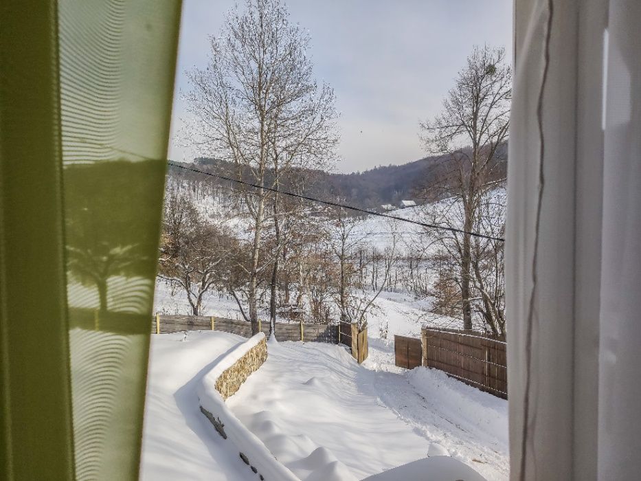 Оренда будинку с. Майдан Львівської обл, садиба "Затишок". Біля витягу