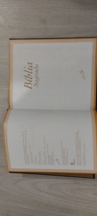 Bíblia Sagrada Ilustrada - Editora Paulus