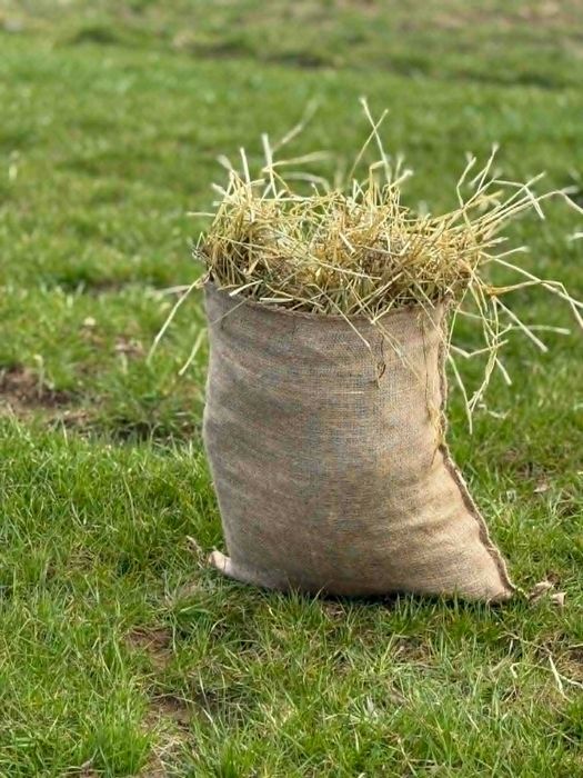 Siano sianko 5kg dla gryzoni koszatniczki króliki