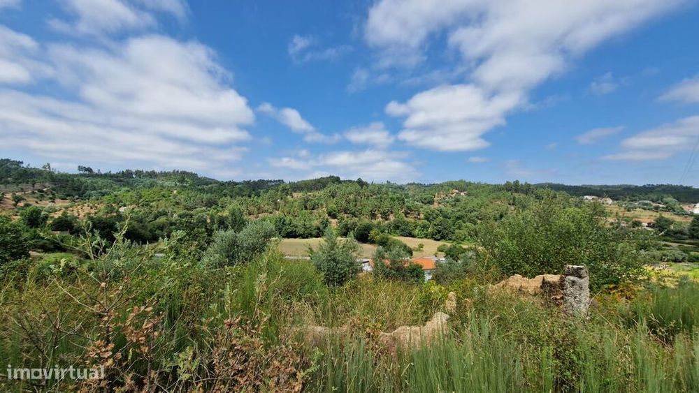 Venda Terreno — Póvoa de Midões, Coimbra