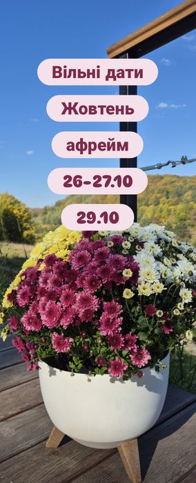 Hillwood cottage- будинки для відпочинку з неймовірним краєвидом