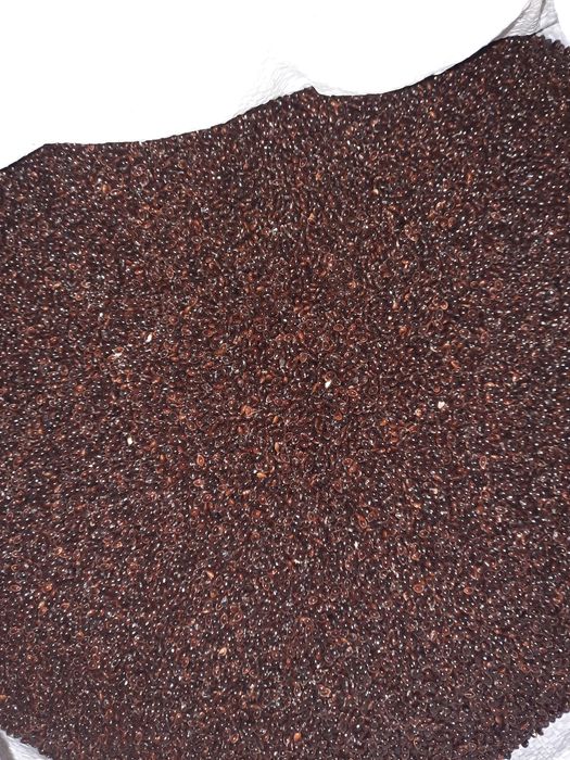 Просо чёрное нуг абессинский сортекс