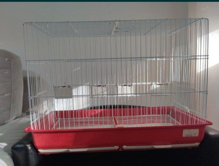 Periquitos Australianos e Gaiolas.