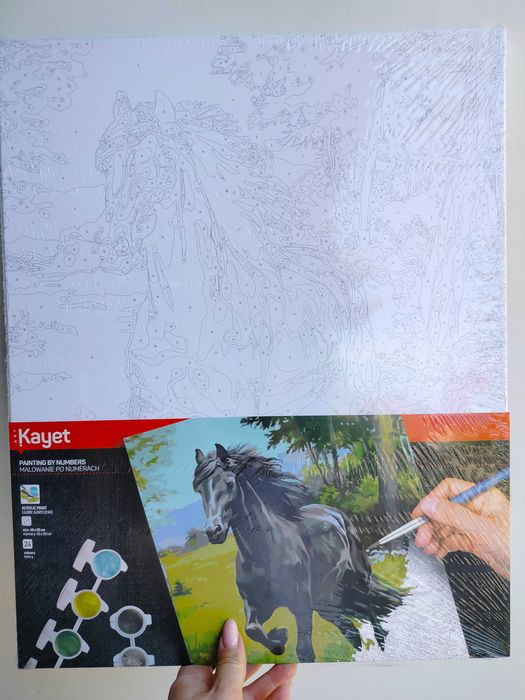 Obraz Kayet do malowania po numerach numerkach 40x50 czarny rumak koń
