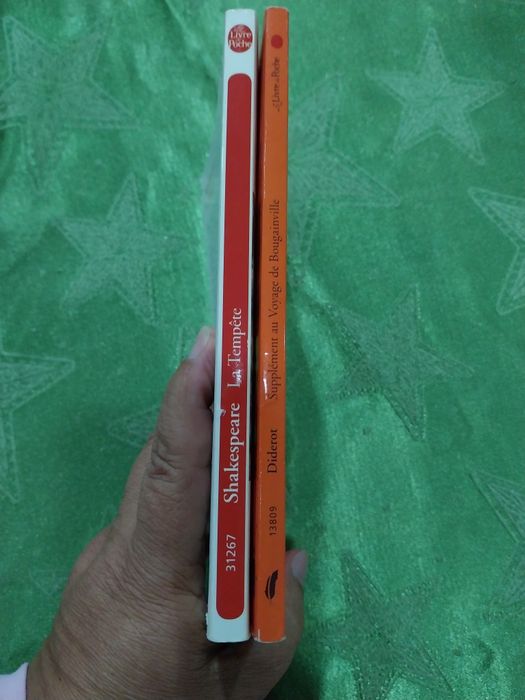 Lote de 2 livros literatura clássica. Portes incluídos