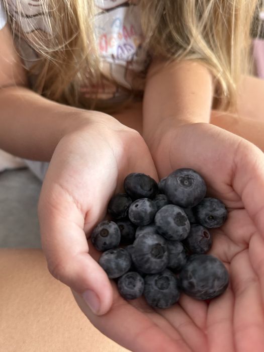 Продам дачу Ледное