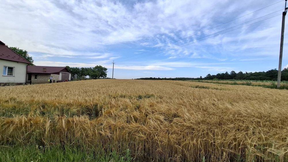 Продаж земельної ділянки