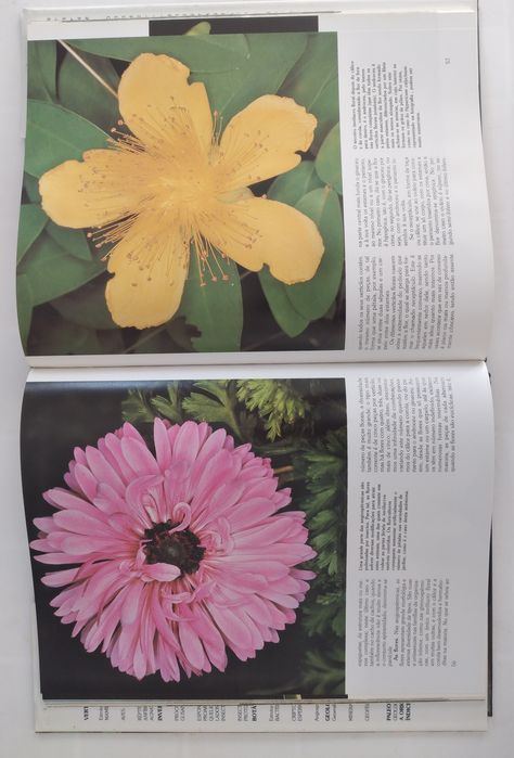 História Natural - 12 livros